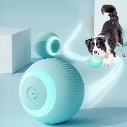 Smart Dog Cat Ball